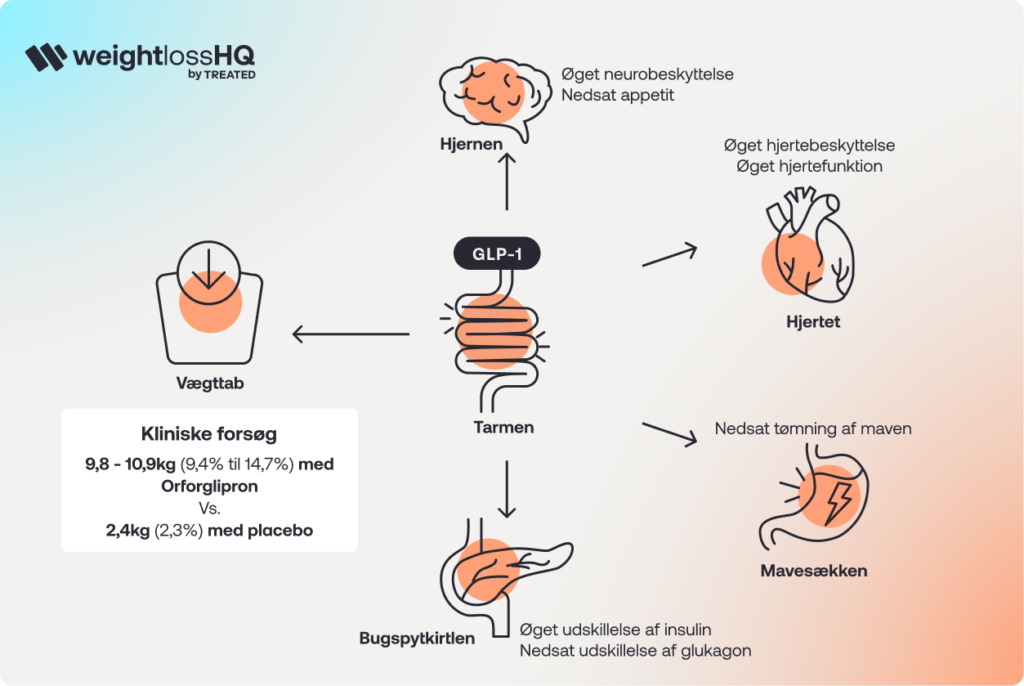 DK_Health Guide _Orforglipron health guide